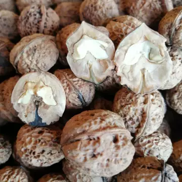 中国骨董 桃核 莲峰奶油小核桃仁(108g) ｜ 大统华超级市场