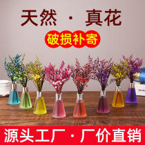 Fire-free rattan strip aromatherapy accessories carnation flower home fragrance volatile stick hand-dried flower fake flower volatile flower