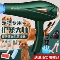 German pet hair dryer High power Cat dog bath hair blowing artifact Teddy large dog water blower