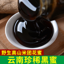 Black Honey 500g Yunnan Alpine Pure Black Bee Honey Pure Natural Wild Deep Mountain Rice Group Nectar Crystals