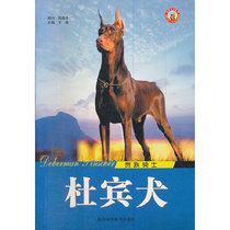 (New Genuine Book) Noble Knight Doberman World Dog Series Wang Xiao Editor-in-Chief
