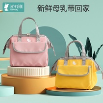 Breast pump storage bag insulation bag mommy bag equipment milk storage ice bag to work fresh ice bag frozen portable