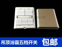 Five-open sliding cover Bath switch five-in-one waterproof universal ceiling air heating Bath switch