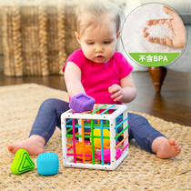 American Fat Brain Cube Sesele Baby Puzzle Shape Cognition Baby 1-year-old Toys 1 year old