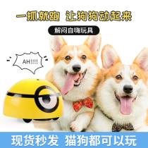  Dog toys Relieve boredom artifact Smart little yellow people tease dogs Tease cats toys Self-hey relieve boredom Pet cat toys