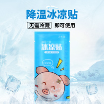 Physical Cooling Sticker Students Military Training Ice Cold Sticker Grown-up Heat Dissipation Stickup Refreshing Brain Ice Sticker Heatstroke Heatstroke Cool Summer Cool Summer