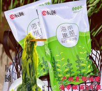 Chenyi story Kelp tender seedlings 3 pounds of 500g*3 bags of specialty salted sea seedlings from straight hair fresh seafood