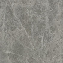 Marco Polo Oscar Gray