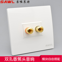 Double-head audio switch socket type 86 concealed two-hole two-way audio wiring panel Horn Cable interface socket