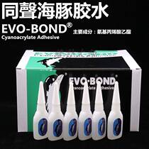 Simultaneous Beauty Supplement Lacquer Wood Door Dolphin Maintenance Glue Renovation Glue 502 Material Furniture Glue