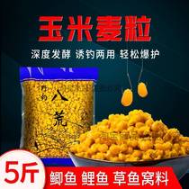 Corn nest material fishing nest material wheat grain corn grain fish bait wild fishing carp herring grass fish bait potato fragrant milk fragrant