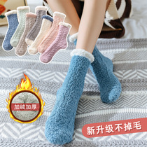 Socks Socks I sub-mei gui sub-pull lint coral fleece socks female plus velvet thickening warm shui mian wa color socks