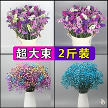 Yunnan natural forget-me-not Starry Starry dried flower bouquet real flower decoration ornaments living room decoration set up net red vase