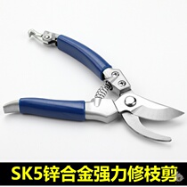 Cut and trim durable and easy to use garden agricultural seed scissors Repair flower tree technology Orchard flowers cut garden branches