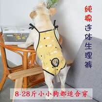 Fatou pet bitch dog physiological pants Female Teddy sanitary napkin physiological pants aunt replaceable anti-harassment safety pants