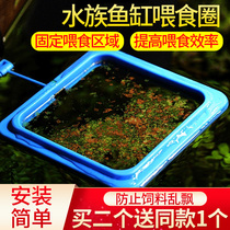  Fish tank feeding circle fish food Red worm guppies Goldfish ornamental shrimp feeder Feeding circle feeding tube shrimp feeder