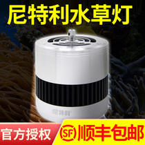 Nitelli Aquatic Light Bucket Light Aquarium led Grass Cylinder Dimmable Full Spectrum Light Professional Landscape Lighting Light