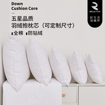 Yiran goose feather down pillow core Hotel sofa pillow core liner bedside backrest Large cushion core Car waist