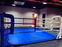 Lingyue Sports boxing ring octagonal cage Sanda ring fighting cage training competition custom color style