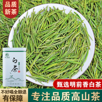 Anji white tea 2021 new tea before the first level white jade fairy high mountain green tea spring tea direct 250 grams canned