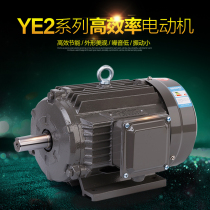 Shanghai De Dong YE2 80M1-4 80M2-4 80M1-2 80M2-2 80M1-6 80M2-6