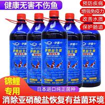 Ito Japan imported em bacteria raw liquid EM original Dew aquaculture aquaculture ornamental fish nitrifying bacteria probiotics