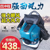 Carrying wind fire extinguisher portable snow blower portable road hair dryer forest folding fire extinguisher 6MF-30