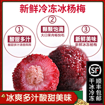 Fujian Jingdefu ice bayberry 220g*6 boxes fresh frozen bubble wine bar KTV catering summer cool