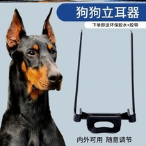 Ear puppies Dubin Li ear tools dog ears auxiliary artifact German animal husbandry puppies vertical ear patch Laizhou Red