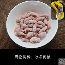 Frozen small white flower branch milk rat Dongxie crawling pet feed red skin snake mane lion guard turtle cat reptile food