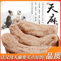 500g Tianma Yunnan Zhaotong natural drying fresh pure non wild special grade sliced grinding Tianma powder