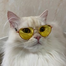 Kitty Glasses Pet Teddy Blue White Small Heart-shaped Sunglasses Doll Photo Props Giggle Cool Cat Dog Funny Ornaments