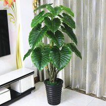 Fake tree dripping Guanyin simulation plant floor-to-ceiling potted large living room bonsai fake flower plastic floral decoration green plant