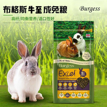 Spot Bugs Rabbit Grain Cow to Adult Rabbit Food 2kg UK Bugs to Rabbit Grain Rabbit feed for 22 years