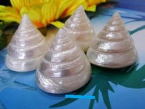 5cm glow-in-the-dark ta luo colorful pearl luster natural conch shells Mediterranean fish tank aquarium decoration