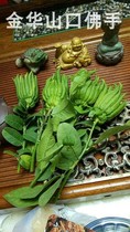 With branches of green fruits Freshly picked aquatic ornamental fruits Hydroponic Bergamot Jinhua Bergamot Citron fruit Qingquan Buddha supply