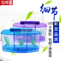 Mini small fish tank aquarium bucket fish tank office fish farming small tropical fish tank