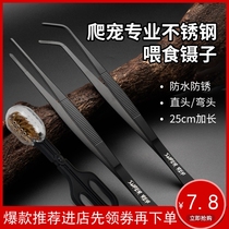 Creeper feeding clip tweezers thickened strength saving BAO WEN guard fat tail mane lion lizard ciliary horn frog snake