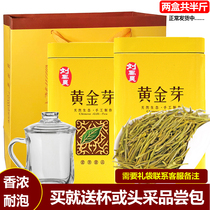 Spot 2021 New Tea Golden Bud tea Authentic Anji white tea Pre-rain green tea 250g canned gold leaf