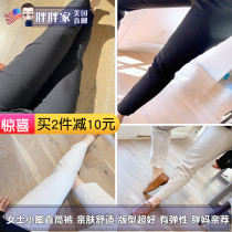 (All To Buy) Fat Fat Home American Direct Mail Hilary Radley Ms Little Pants With Elastic 100 Lap Pants