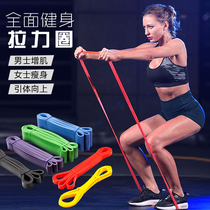 Resilience Belt Fitness male rubber band strength training female pull-up auxiliary belt resistance Belt strength pull rope