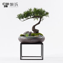 Living room landscaping green plant bonsai simulation welcome pine micro landscape ornaments indoor home decoration porch corner several cases