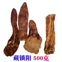 Cynomorium 500g Qinghai-Tibet Plateau wild not old grass should be matched with cistanche male wine tonic can be sliced powder