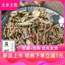 Chinese medicinal materials Houttuynia cordata Houttuynia cordata stinky grass 500g