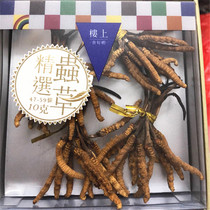 Hong Kong Upstairs Birds Nest Selected Cordyceps (47-59 10 grams) Cordyceps 10 grams gift box