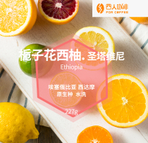 Gardenia grapefruit four Ethiopian Santa Vini wash treatment hand washed coffee beans 227g