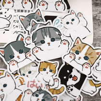 Hand account sticker pack ins wind hand account decorative small pattern cute animal mobile phone sticker material pack kitten