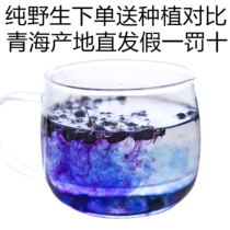 Qinghai Nuomuhong pure wild Black wolfberry 240g gram of anthocyanin King Super specialty small cans non Ningxia