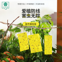 Yellow plate double-sided adhesive insect plate Trapping Plate Paper Stickup Small Flying Insect Stained Fruit Fly Sticky Board Green Plant With Sticky Mosquito Killing Black Worm