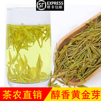 2021 New tea authentic Anji Golden Bud 125g Bean flavor Premium Mingqian Anji White Tea Alpine Green tea in bulk